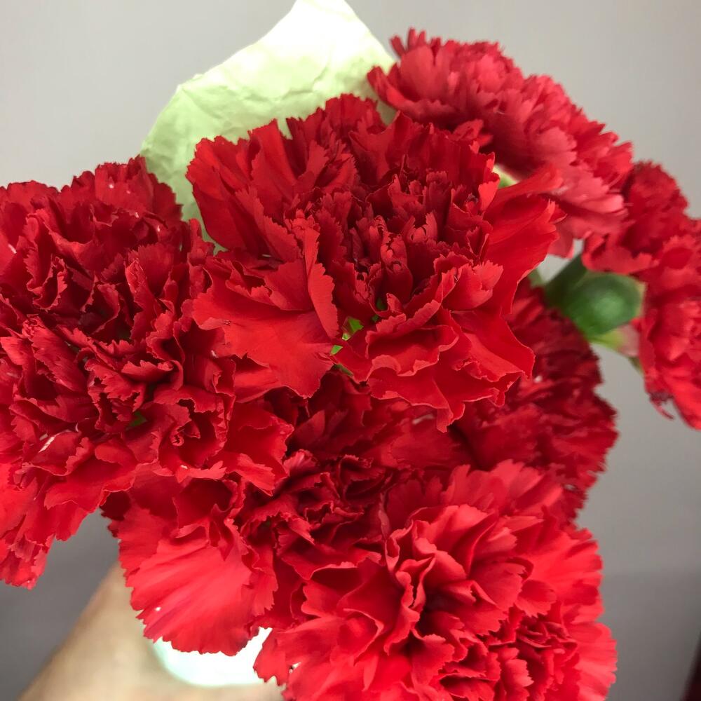 Букет-Прекрасные гвоздики ️