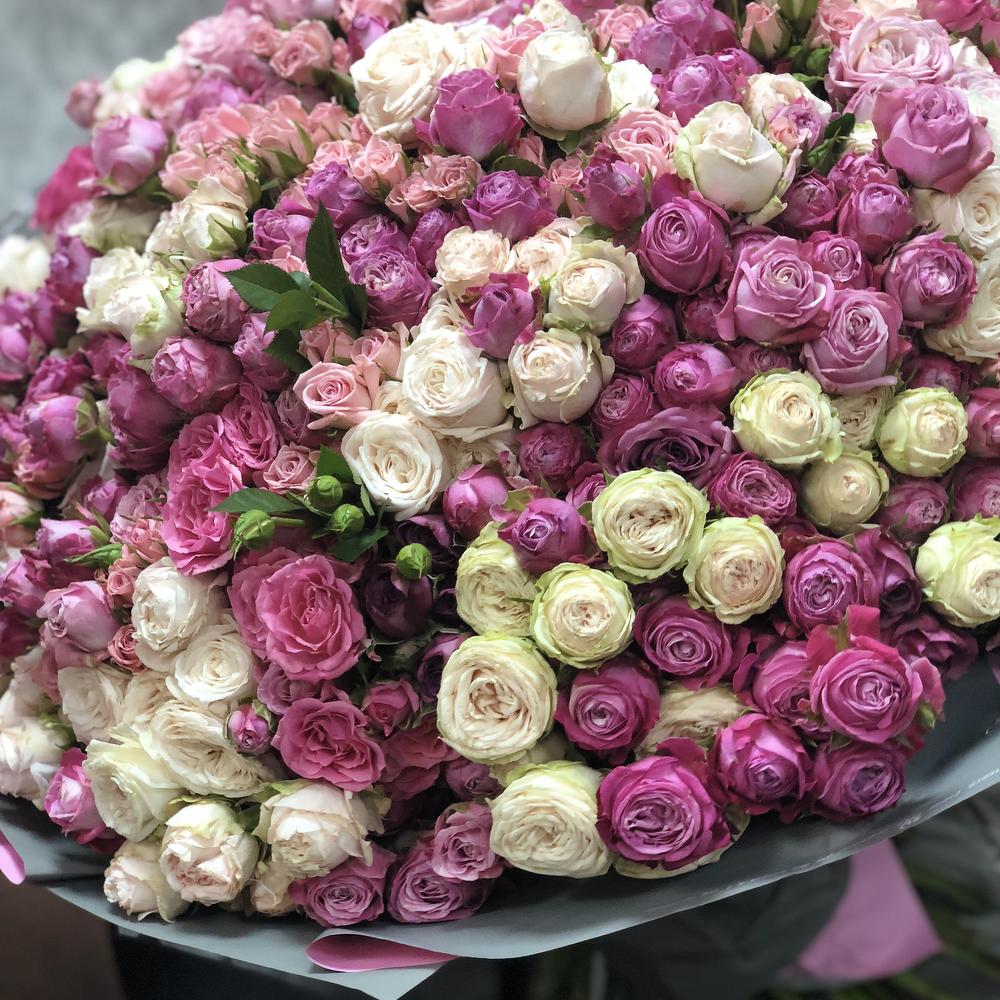 101 кустовая роза