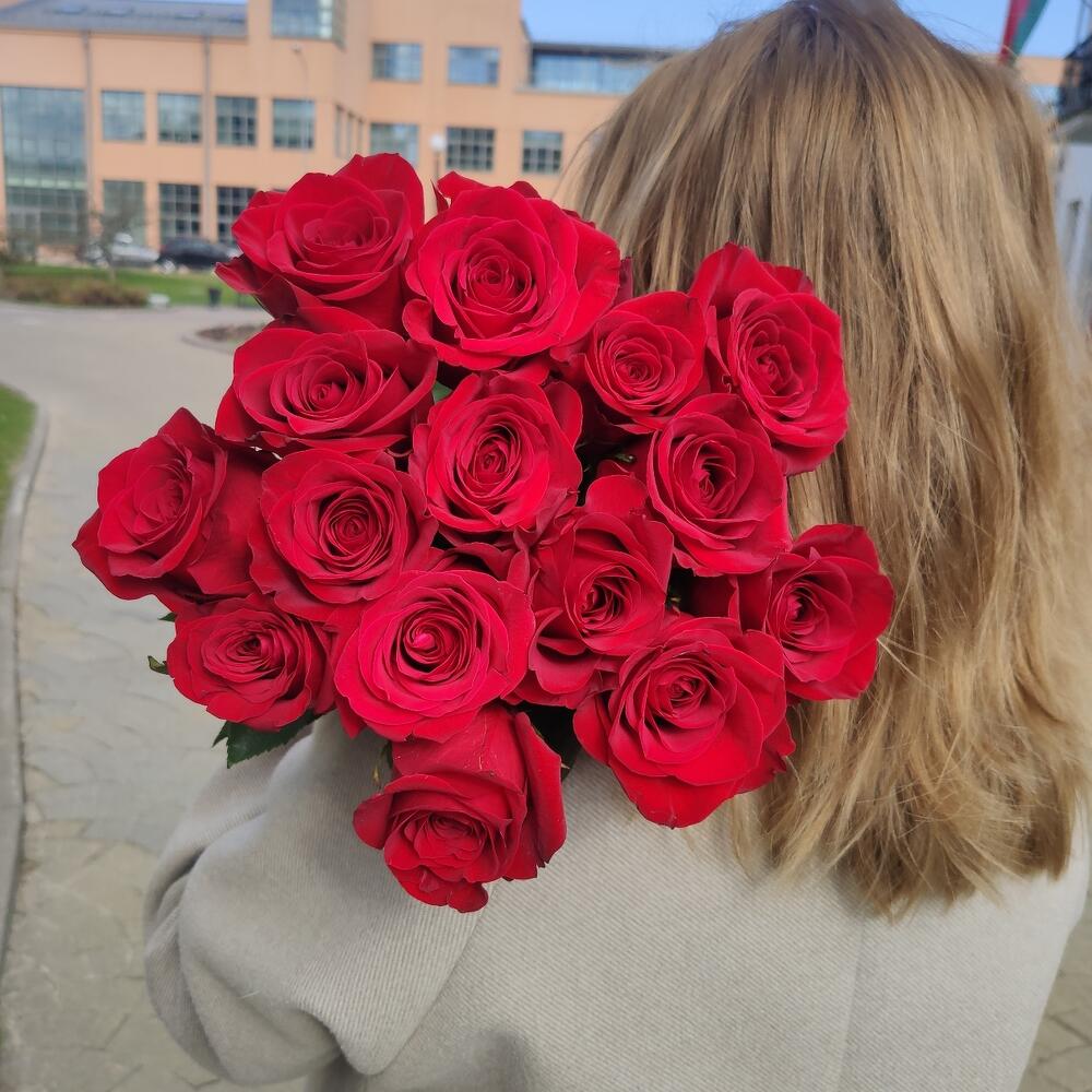 Роза Фридом 70 см